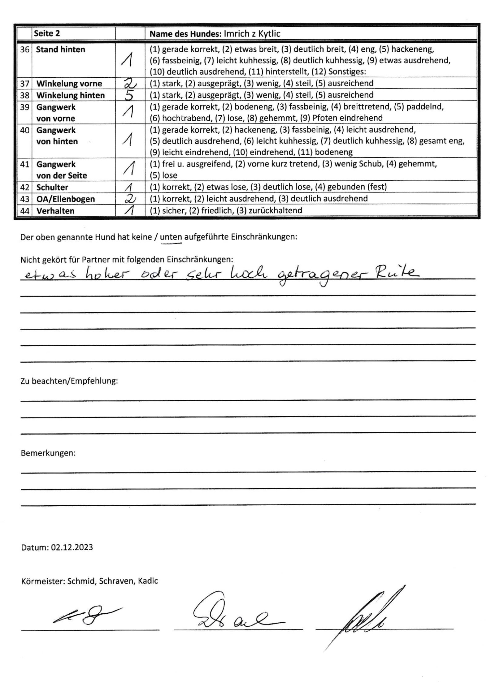 young boy sitting in barbers chair