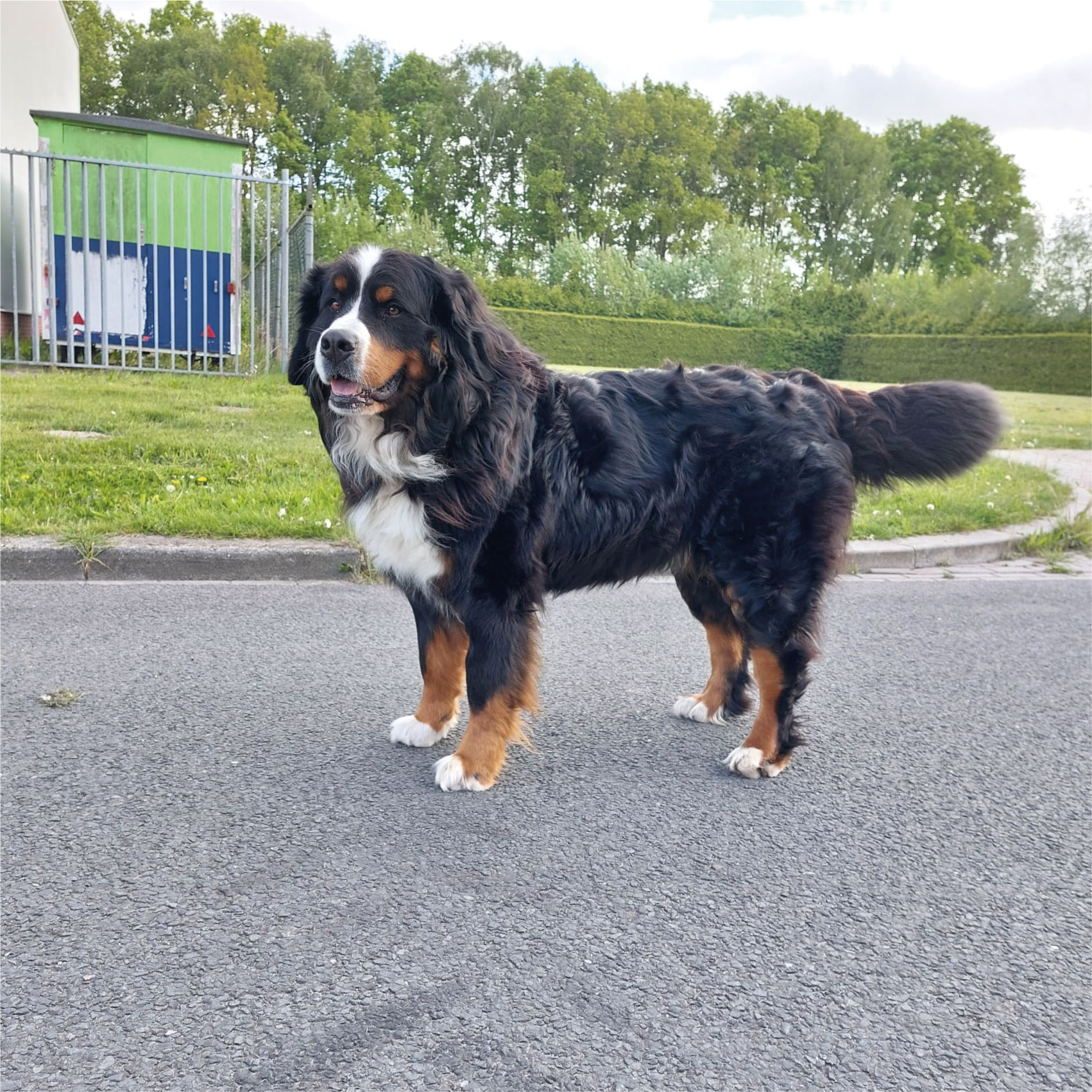 young boy sitting in barbers chair